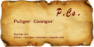 Pulger Csongor névjegykártya